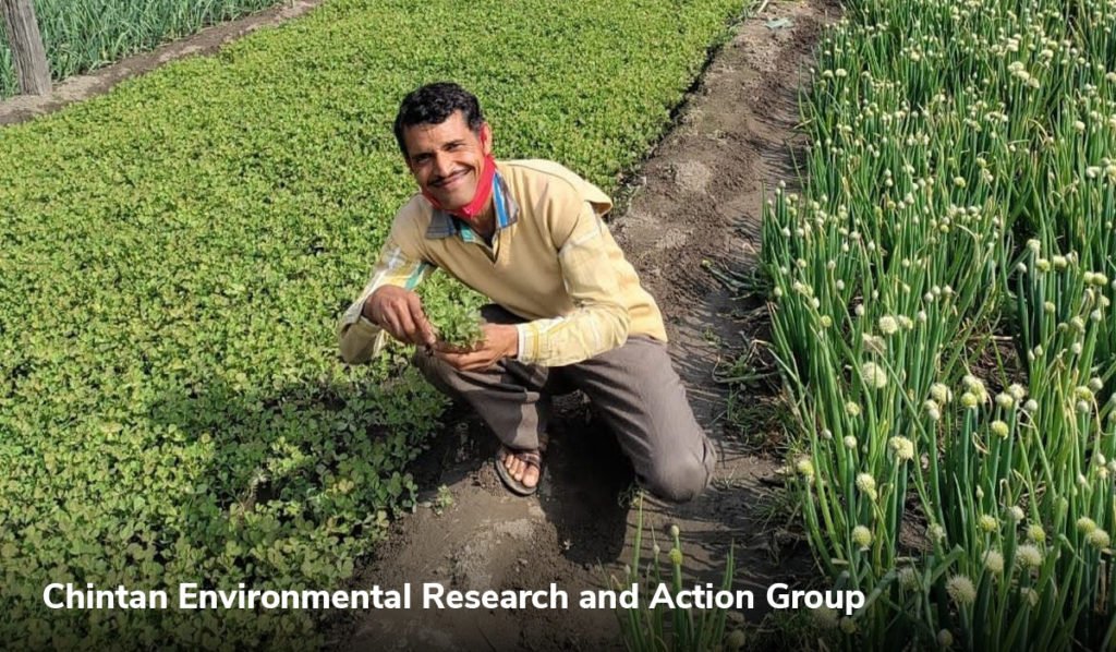 Protect the environment